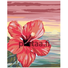 Maalaa numeroilla F55