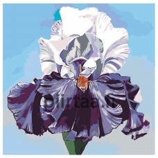 Maalaa numeroilla F57