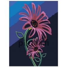 Maalaa numeroilla F63