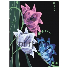 Maalaa numeroilla F64