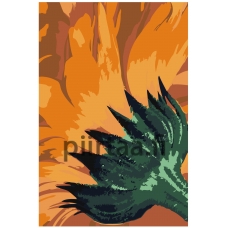 Maalaa numeroilla F68