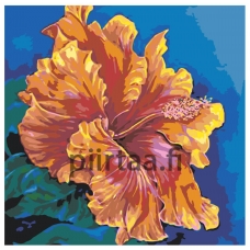 Maalaa numeroilla F70