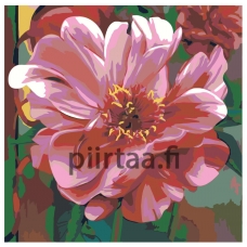 Maalaa numeroilla F71