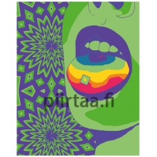 Maalaa numeroilla FU01