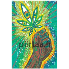 Maalaa numeroilla FU21