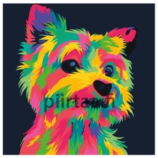 Maalaa numeroilla FU34