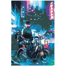 Maalaa numeroilla FU53