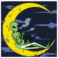 Maalaa numeroilla FU64