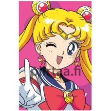 Maalaa numeroilla FU91