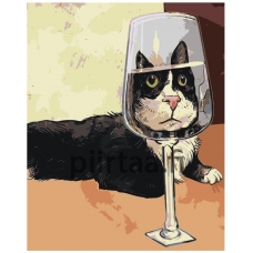 Maalaa numeroilla IIIR-KIR264