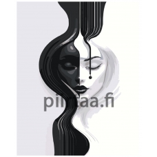 Maalaa numeroilla IIIR-KIR411