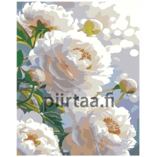 Maalaa numeroilla IIIR-KIR566