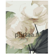 Maalaa numeroilla IIIR-KSN079