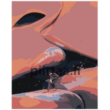 Maalaa numeroilla IIIR-PVL708