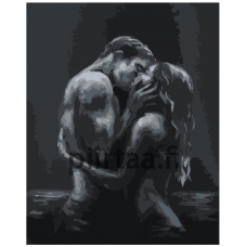 Maalaa numeroilla IIIR-STP405