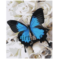 Maalaa numeroilla IIIR-STP548