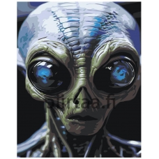 Maalaa numeroilla IIIR-STP577