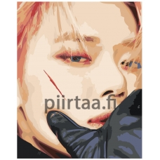 Maalaa numeroilla K-POP1