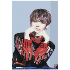 Maalaa numeroilla K-POP5
