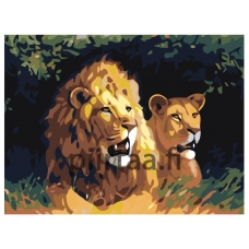 Maalaa numeroilla KRYM-AN04