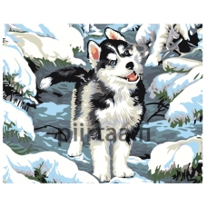 Maalaa numeroilla KRYM-AN05