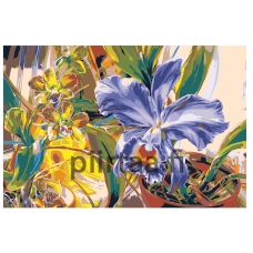 Maalaa numeroilla KRYM-FL009