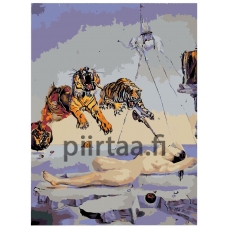 Maalaa numeroilla KSRV-DALI1