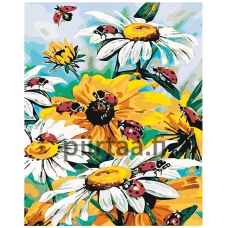 Maalaa numeroilla KTMK-006955