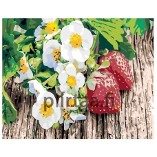 Maalaa numeroilla KTMK-006956