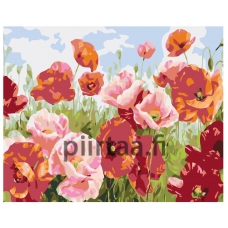 Maalaa numeroilla KTMK-006957