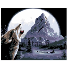 Maalaa numeroilla KTMK-01143