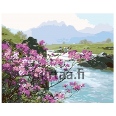 Maalaa numeroilla KTMK-03109