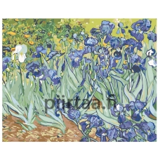 Maalaa numeroilla KTMK-03903