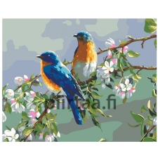 Maalaa numeroilla KTMK-09352