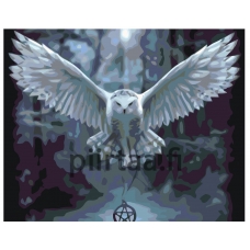 Maalaa numeroilla KTMK-13823