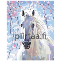 Maalaa numeroilla KTMK-13941