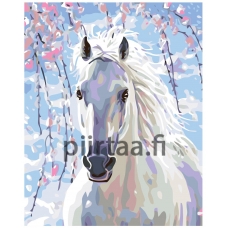 Maalaa numeroilla KTMK-13941