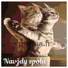 Maalaa numeroilla KTMK-15044