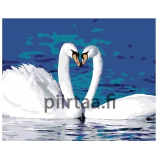 Maalaa numeroilla KTMK-15975