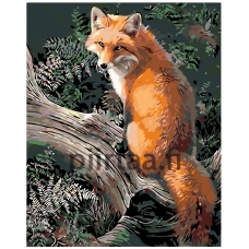 Maalaa numeroilla KTMK-17020