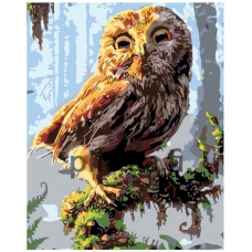 Maalaa numeroilla KTMK-19387