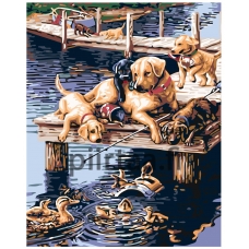 Maalaa numeroilla KTMK-2353572