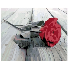 Maalaa numeroilla KTMK-2474861