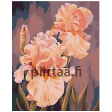 Maalaa numeroilla KTMK-26741