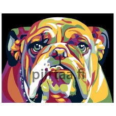 Maalaa numeroilla KTMK-32158