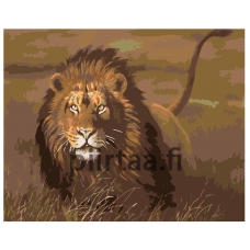 Maalaa numeroilla KTMK-32548