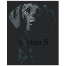 Maalaa numeroilla KTMK-351312