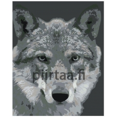 Maalaa numeroilla KTMK-351313