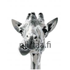 Maalaa numeroilla KTMK-351314