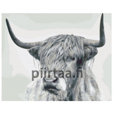 Maalaa numeroilla KTMK-35131